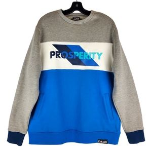 PINK DOLPHIN Sweatshirt 'PROSPERITY' Colorblock Crewneck